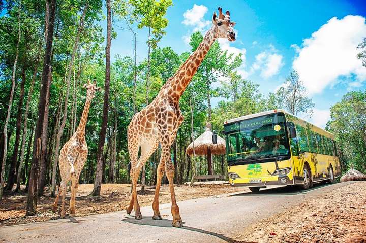 Vườn Thú Safari Phu quoc - Nha Linh Travel