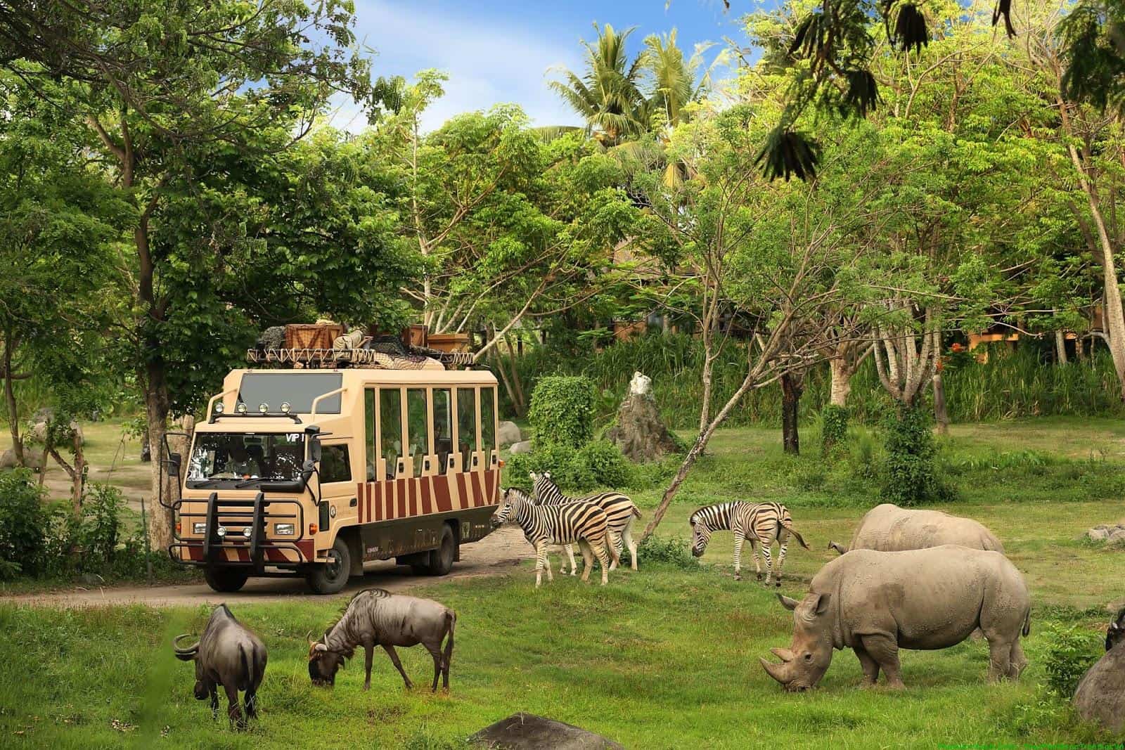Vườn Thú Safari tại Phu quoc - Nhã LInh Travel